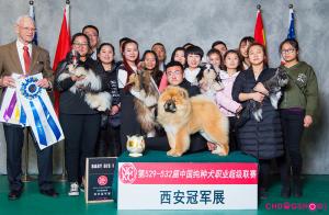 西安NGKC犬展2017年3月